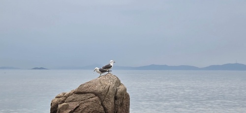 메인사진